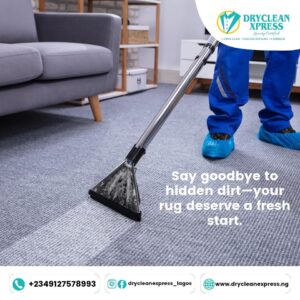 The Carpet Care Deluxe